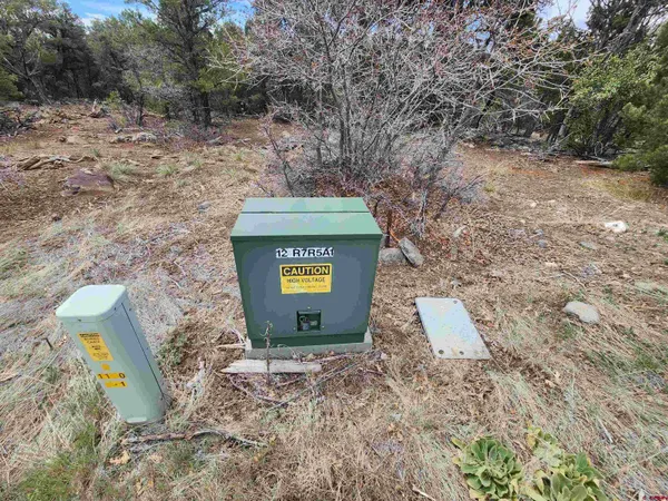 $165,000 | Lot 7 Wild Turkey Lane, Cedaredge, CO 81413