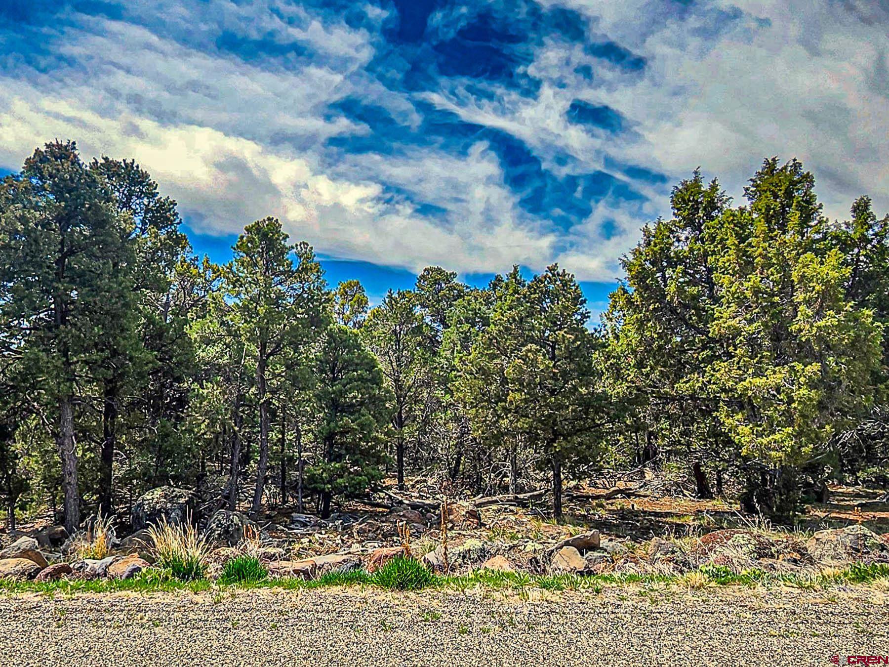 Lot 7 Wild Turkey Lane Cedaredge, CO 81413 - Photo 2 of 19 a view of a yard
