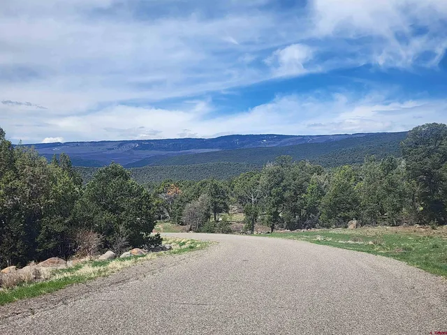 a view of a yard with trees