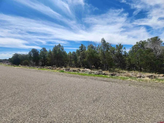 a view of empty yard