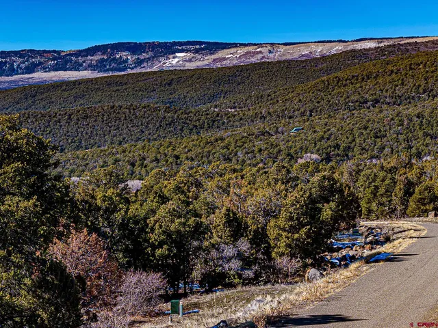 $165,000 | Lot 7 Wild Turkey Lane, Cedaredge, CO 81413