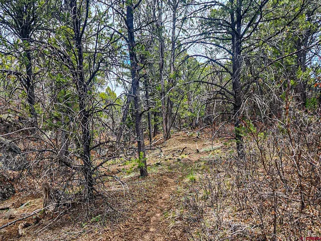 $165,000 | Lot 7 Wild Turkey Lane, Cedaredge, CO 81413