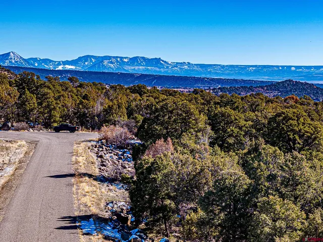 $165,000 | Lot 7 Wild Turkey Lane, Cedaredge, CO 81413