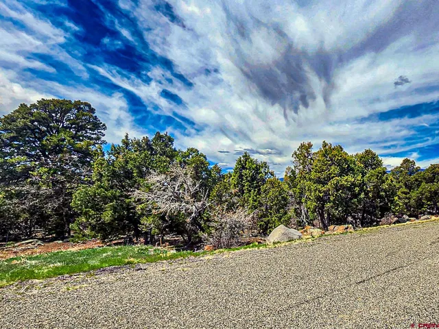 $165,000 | Lot 7 Wild Turkey Lane, Cedaredge, CO 81413