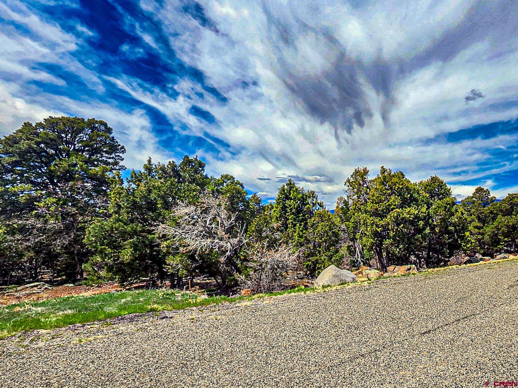 Lot 7 Wild Turkey Lane Cedaredge, CO 81413 - Photo 7 of 19 a view of a yard with pathway