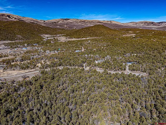 $165,000 | Lot 7 Wild Turkey Lane, Cedaredge, CO 81413