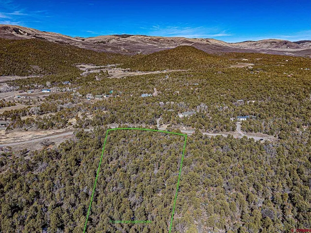 $165,000 | Lot 7 Wild Turkey Lane, Cedaredge, CO 81413