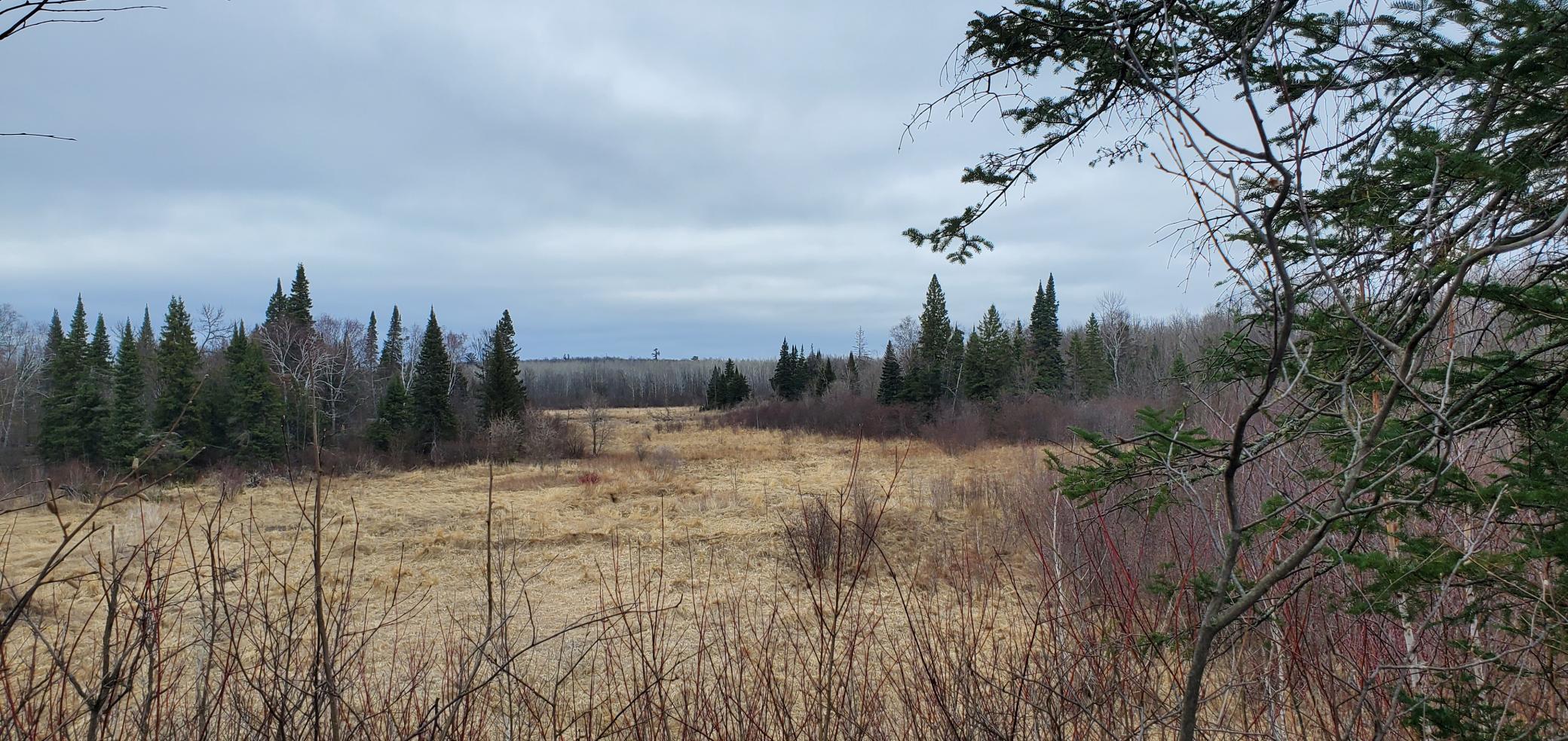 38953 Ada Beach Road Ponsford, MN 56575 - Photo 78 of 94