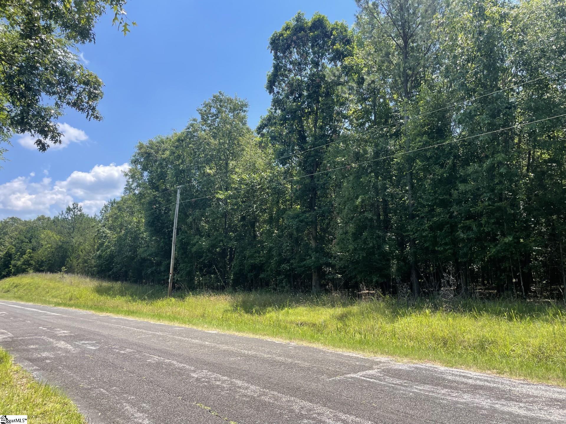 0 Cromer Camp Road Cross Hill, SC 29332 - Photo 11 of 11 Gallery Image 11