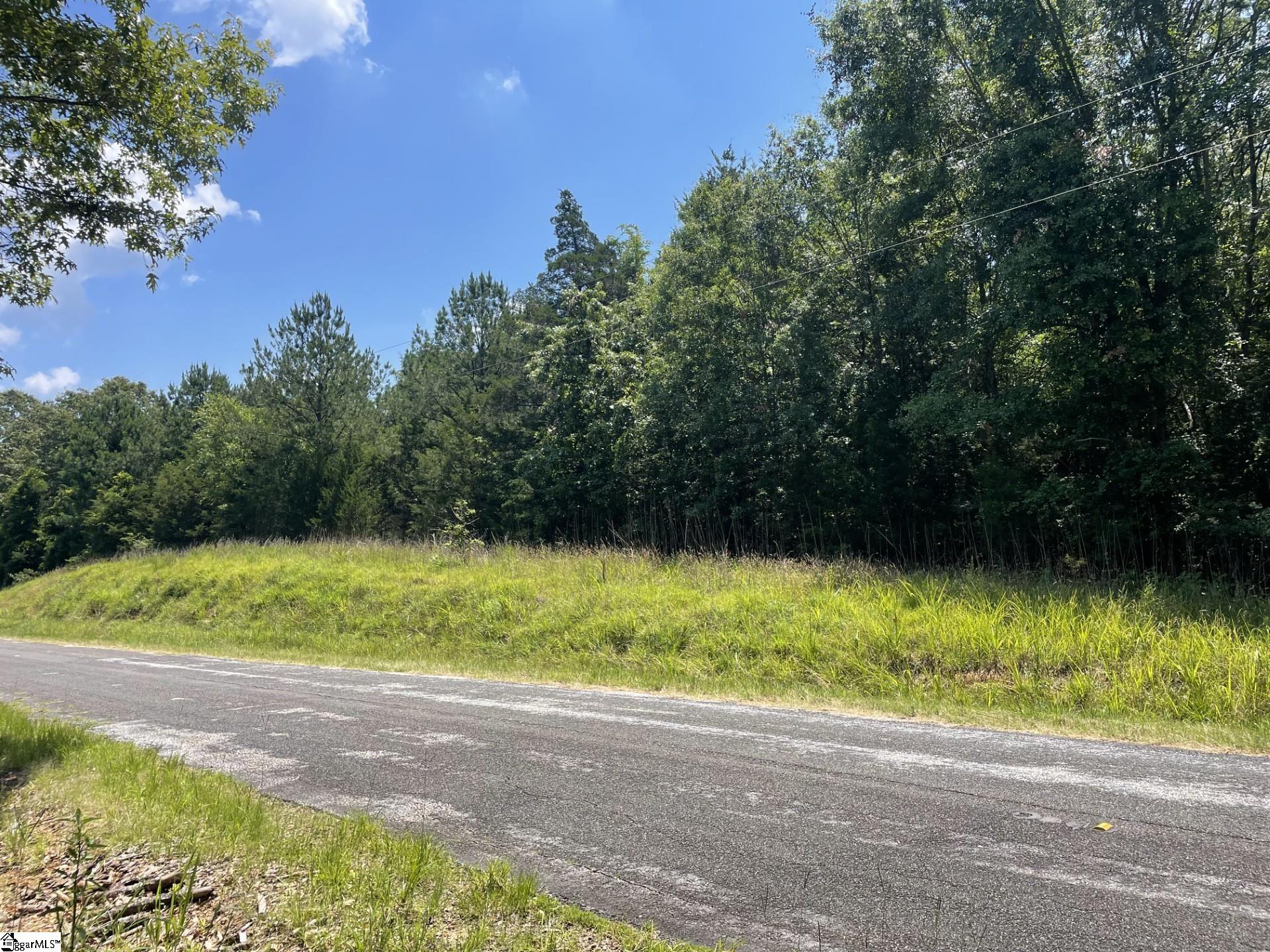 0 Cromer Camp Road Cross Hill, SC 29332 - Photo 8 of 11 Gallery Image 8