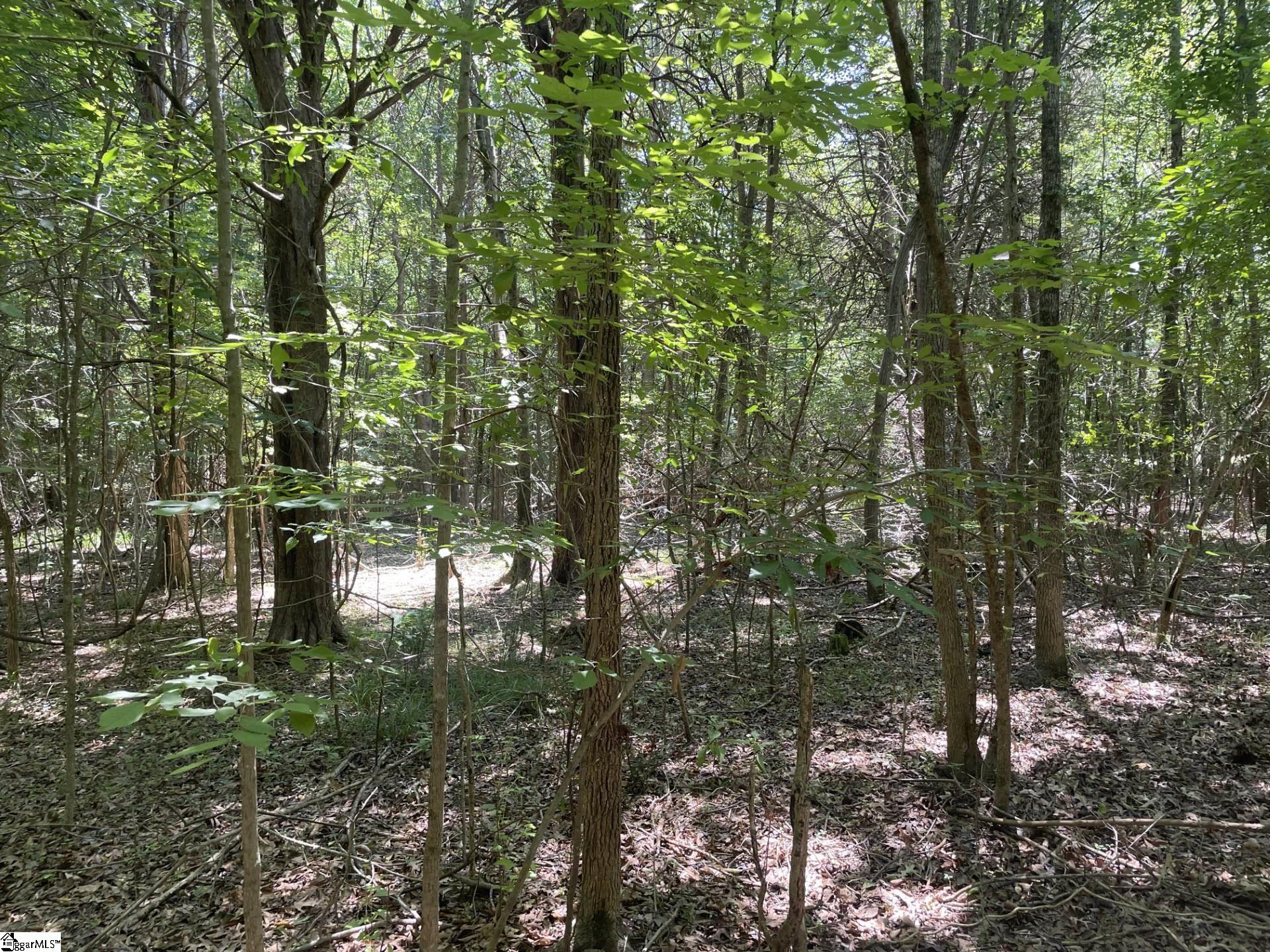 0 Cromer Camp Road Cross Hill, SC 29332 - Photo 9 of 11 Gallery Image 9