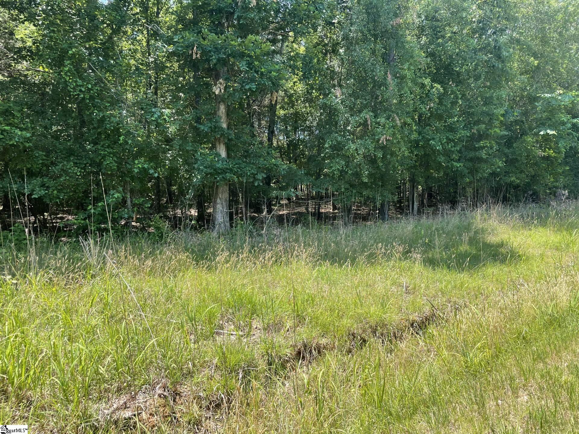 0 Cromer Camp Road Cross Hill, SC 29332 - Photo 10 of 11 Gallery Image 10
