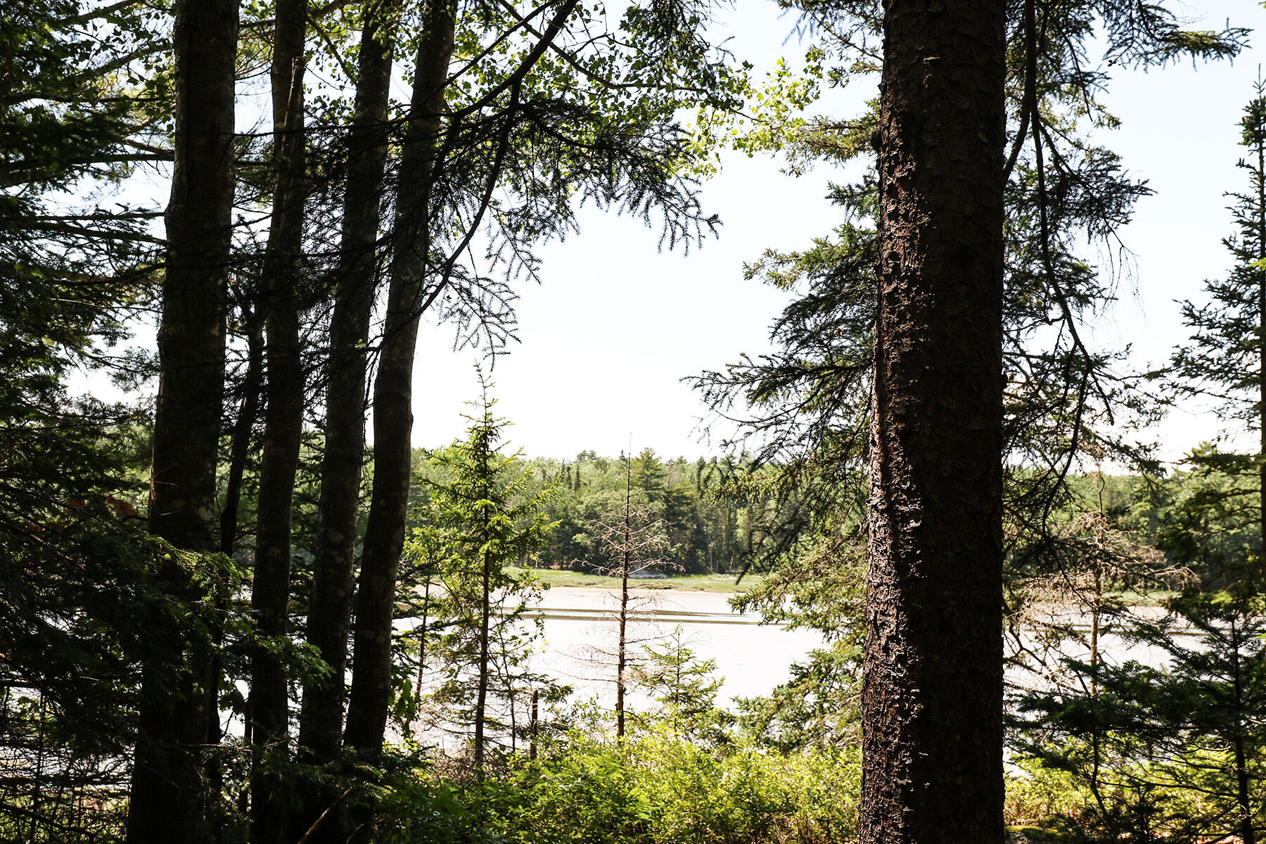 39 Dwelly Point Road Franklin, ME 04634 - Photo 33 of 37 133A0366