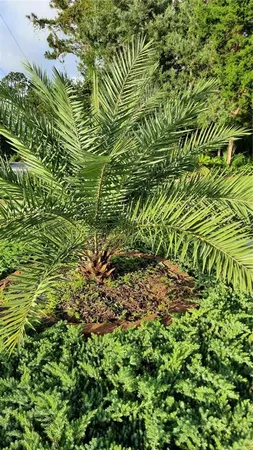 $2,600 | 58 Burning Bush Drive, Palm Coast, FL 32137