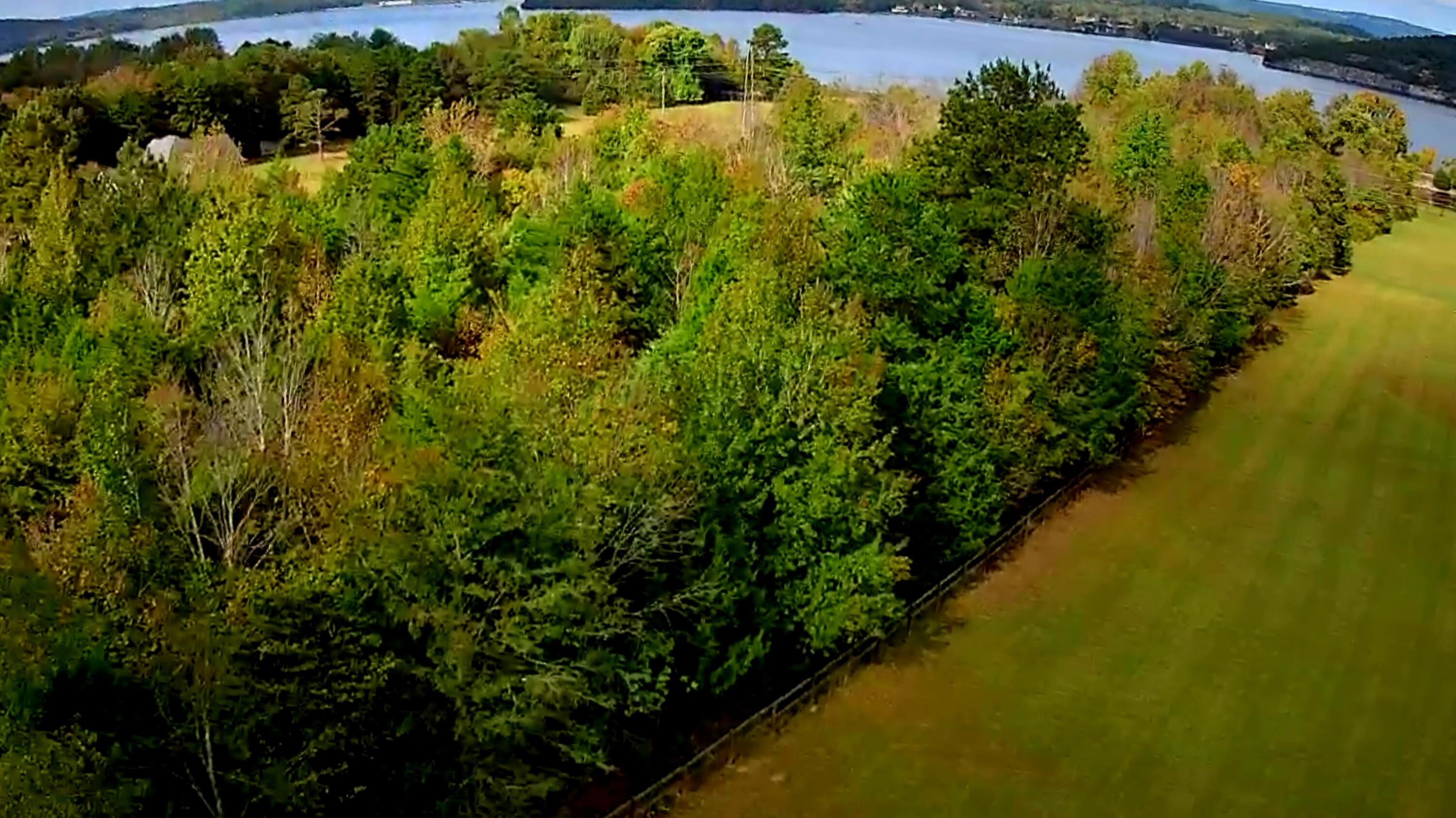 0 Highway 156, Unit 28 Guild, TN 37340 - Photo 12 of 47 IMG_20251009_1009055