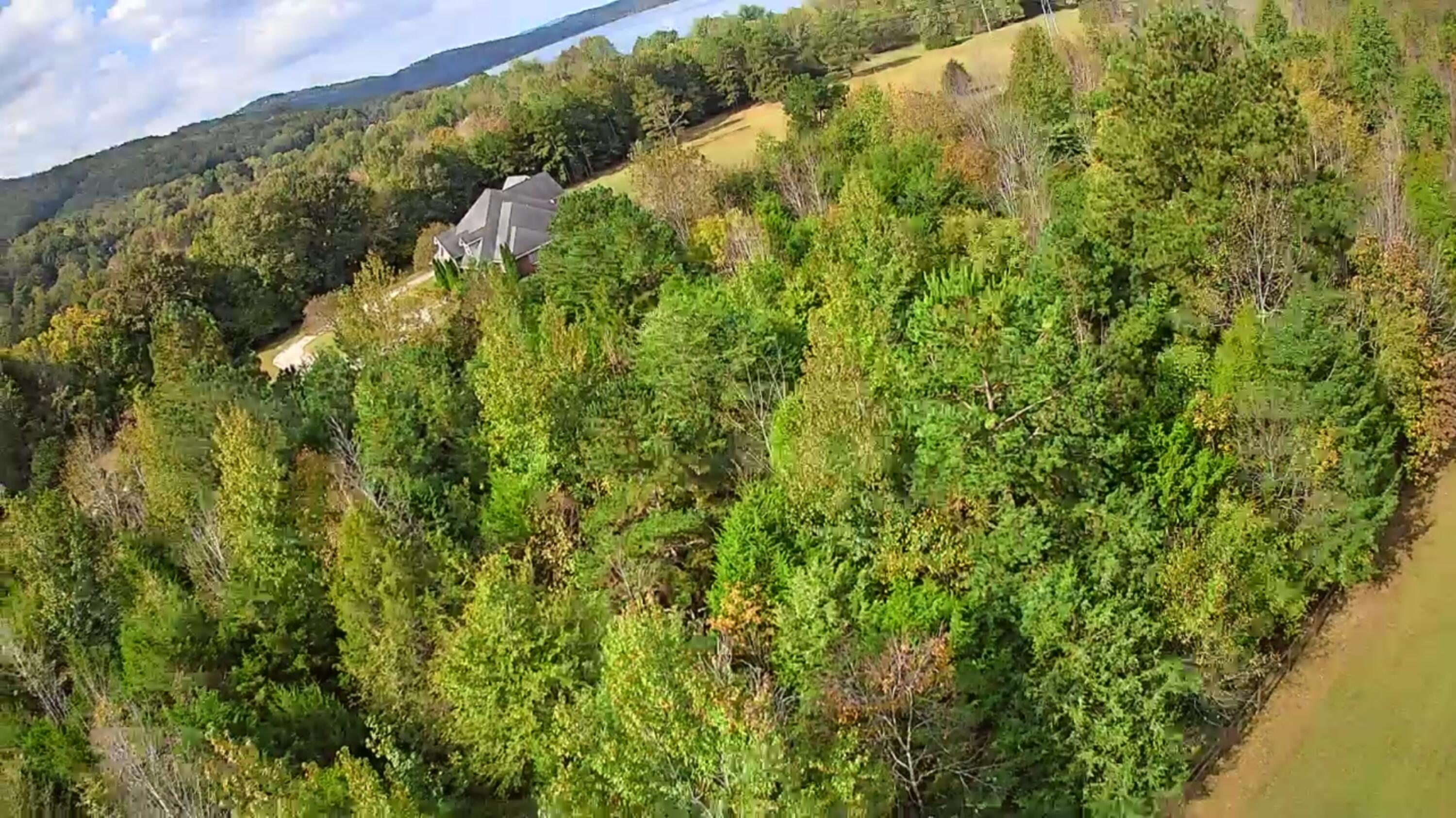 0 Highway 156, Unit 28 Guild, TN 37340 - Photo 23 of 47 IMG_20251009_1012047