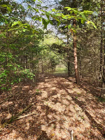 $127,000 | 0 Highway 156, Unit 28, South Pittsburg, TN 37380