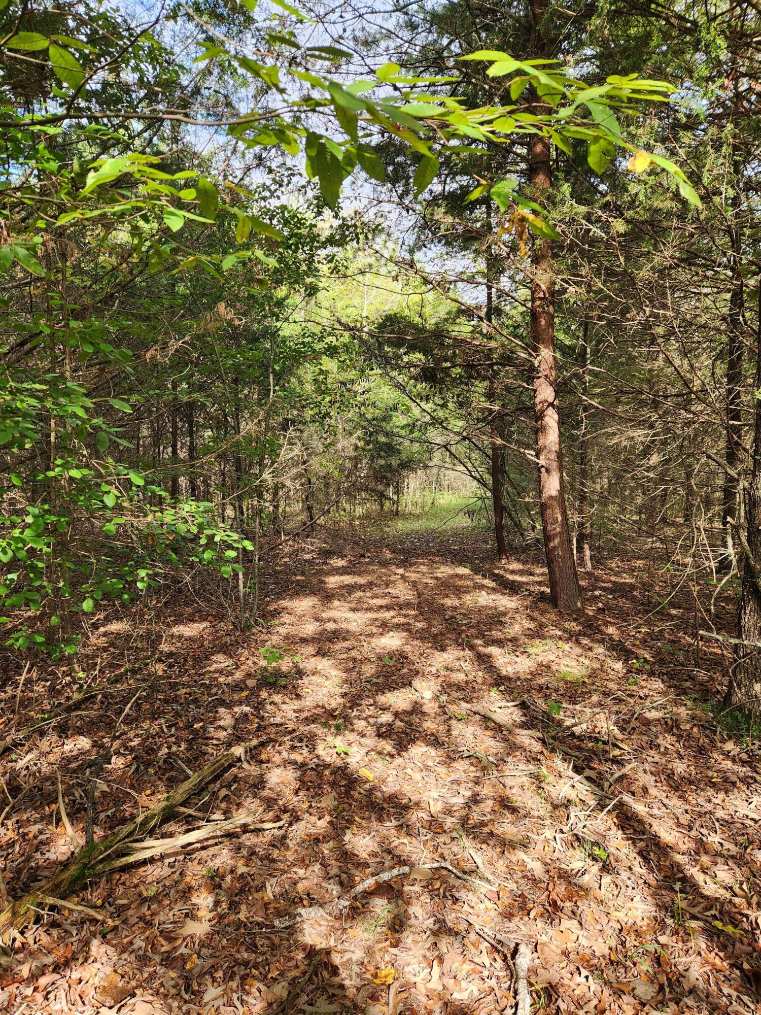 0 Highway 156, Unit 28 Guild, TN 37340 - Photo 24 of 47 20251009_101853