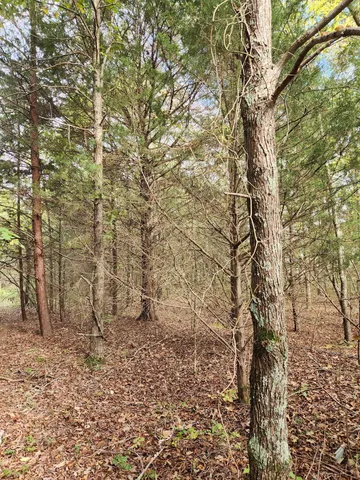 $127,000 | 0 Highway 156, Unit 28, South Pittsburg, TN 37380