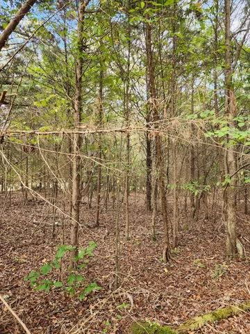 $127,000 | 0 Highway 156, Unit 28, South Pittsburg, TN 37380