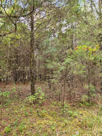 $127,000 | 0 Highway 156, Unit 28, Guild, TN 37340