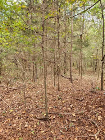 $127,000 | 0 Highway 156, Unit 28, Guild, TN 37340