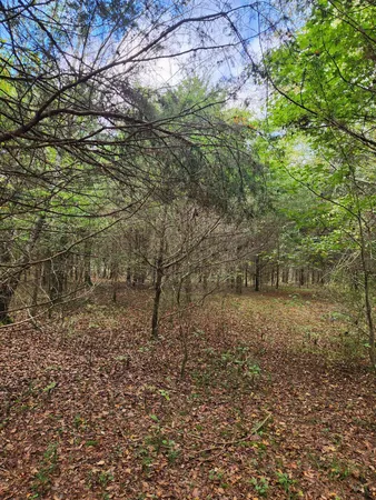 $127,000 | 0 Highway 156, Unit 28, Guild, TN 37340