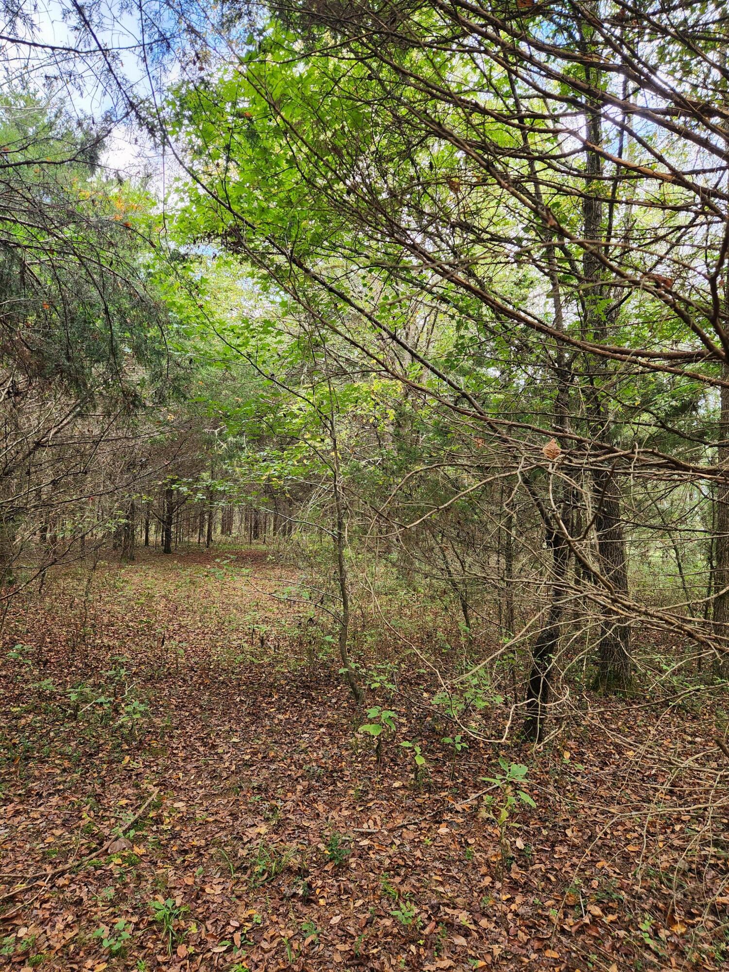 0 Highway 156, Unit 28 Guild, TN 37340 - Photo 32 of 47 20251009_102620