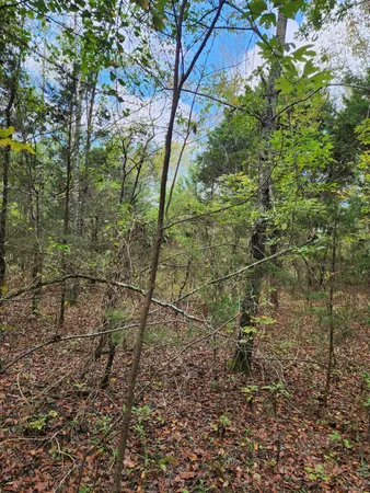 $127,000 | 0 Highway 156, Unit 28, Guild, TN 37340