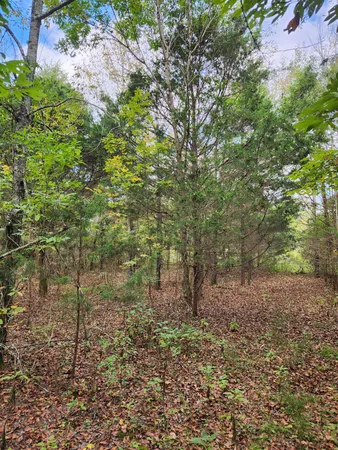 $127,000 | 0 Highway 156, Unit 28, Guild, TN 37340