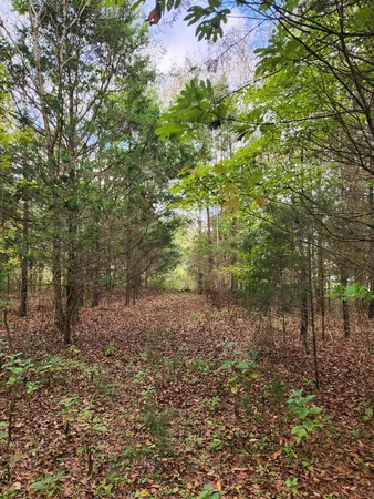 $127,000 | 0 Highway 156, Unit 28, Guild, TN 37340