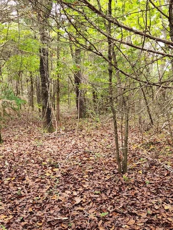 $127,000 | 0 Highway 156, Unit 28, Guild, TN 37340