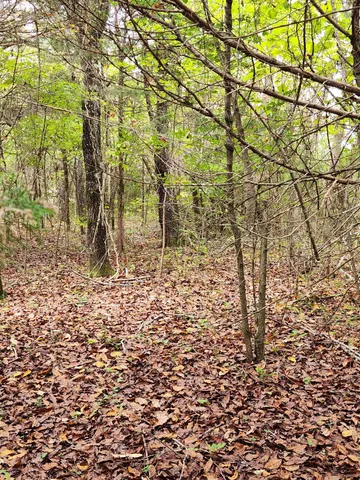 $127,000 | 0 Highway 156, Unit 28, South Pittsburg, TN 37380