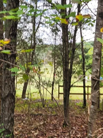 $127,000 | 0 Highway 156, Unit 28, Guild, TN 37340