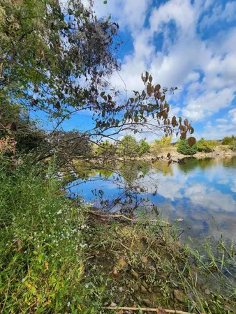 $127,000 | 0 Highway 156, Unit 28, Guild, TN 37340