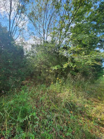 $127,000 | 0 Highway 156, Unit 28, Guild, TN 37340