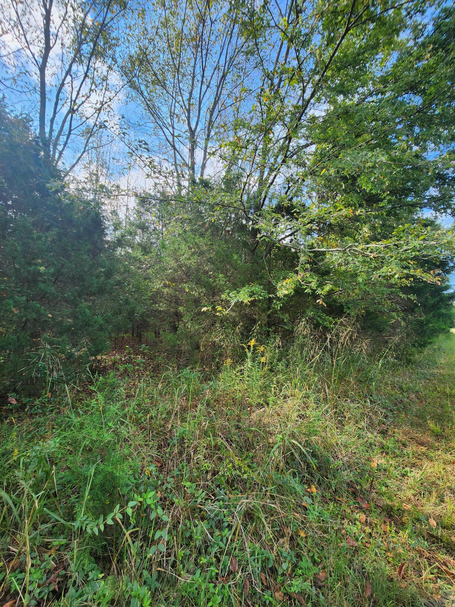 0 Highway 156, Unit 28 Guild, TN 37340 - Photo 43 of 47 20251009_103433