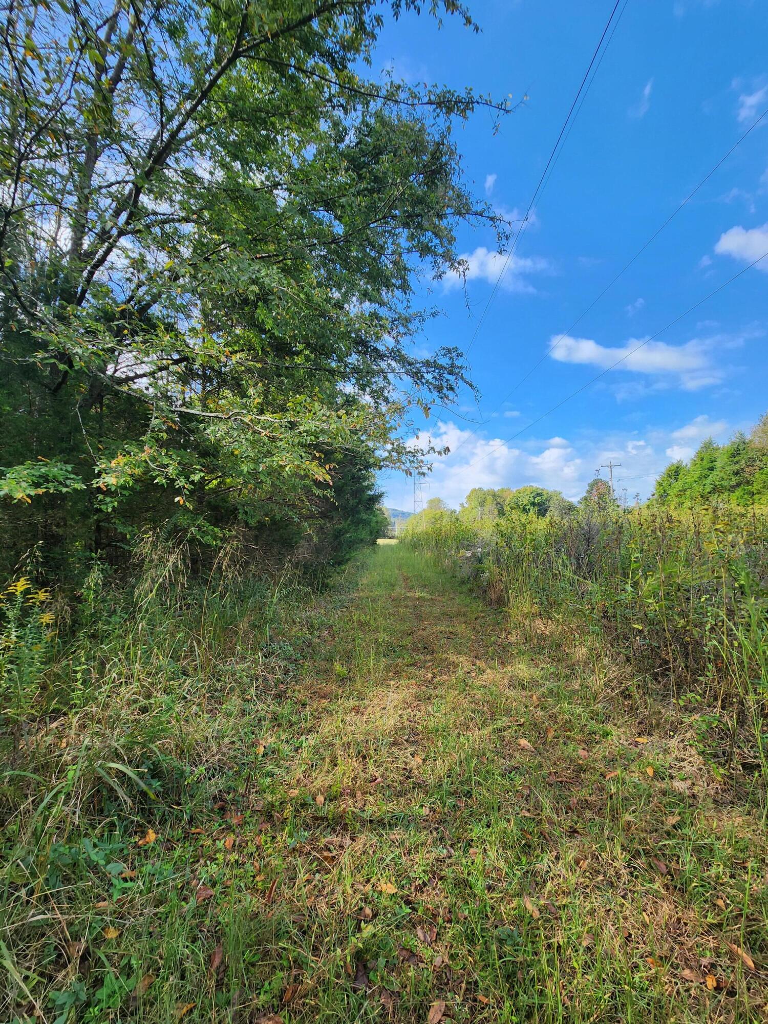 0 Highway 156, Unit 28 Guild, TN 37340 - Photo 44 of 47 20251009_103436