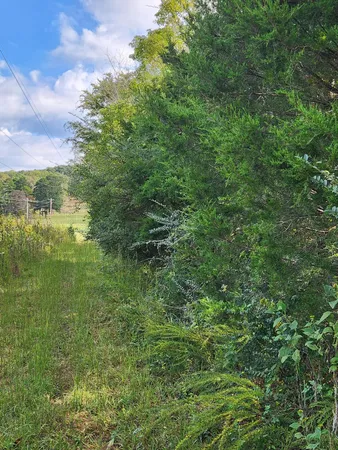 $127,000 | 0 Highway 156, Unit 28, Guild, TN 37340