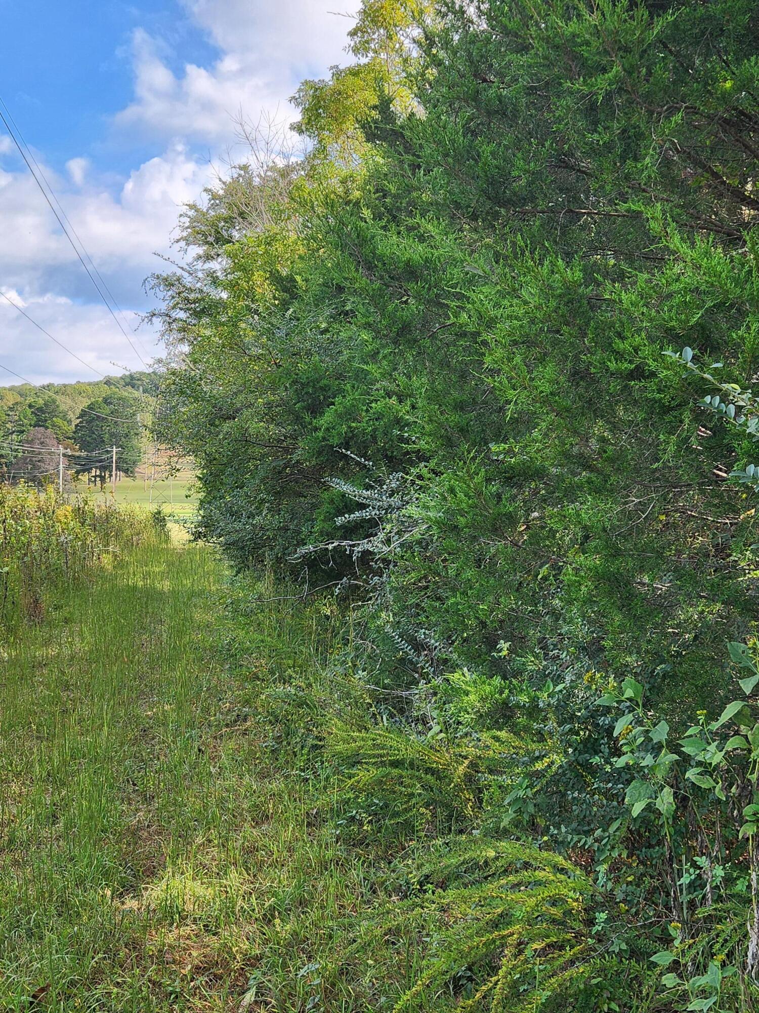 0 Highway 156, Unit 28 Guild, TN 37340 - Photo 47 of 47 20251009_103550