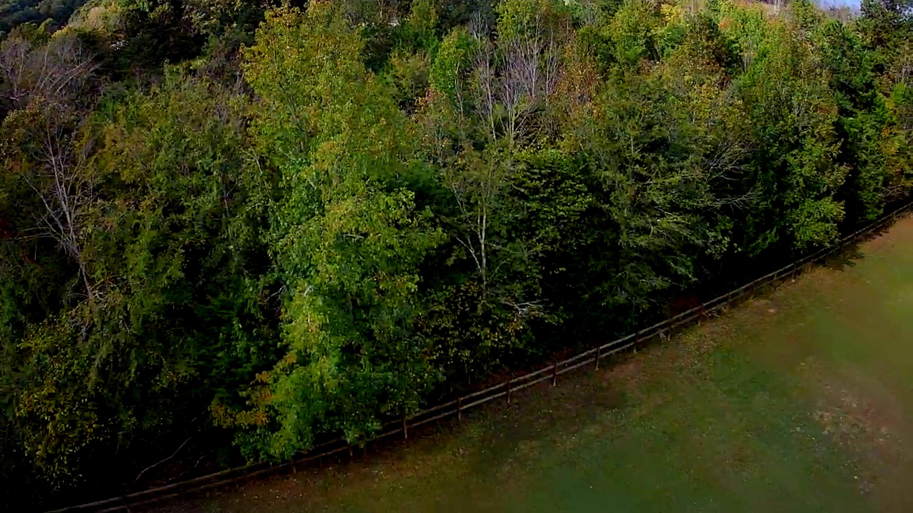 0 Highway 156, Unit 28 Guild, TN 37340 - Photo 8 of 47 IMG_20251009_1009015