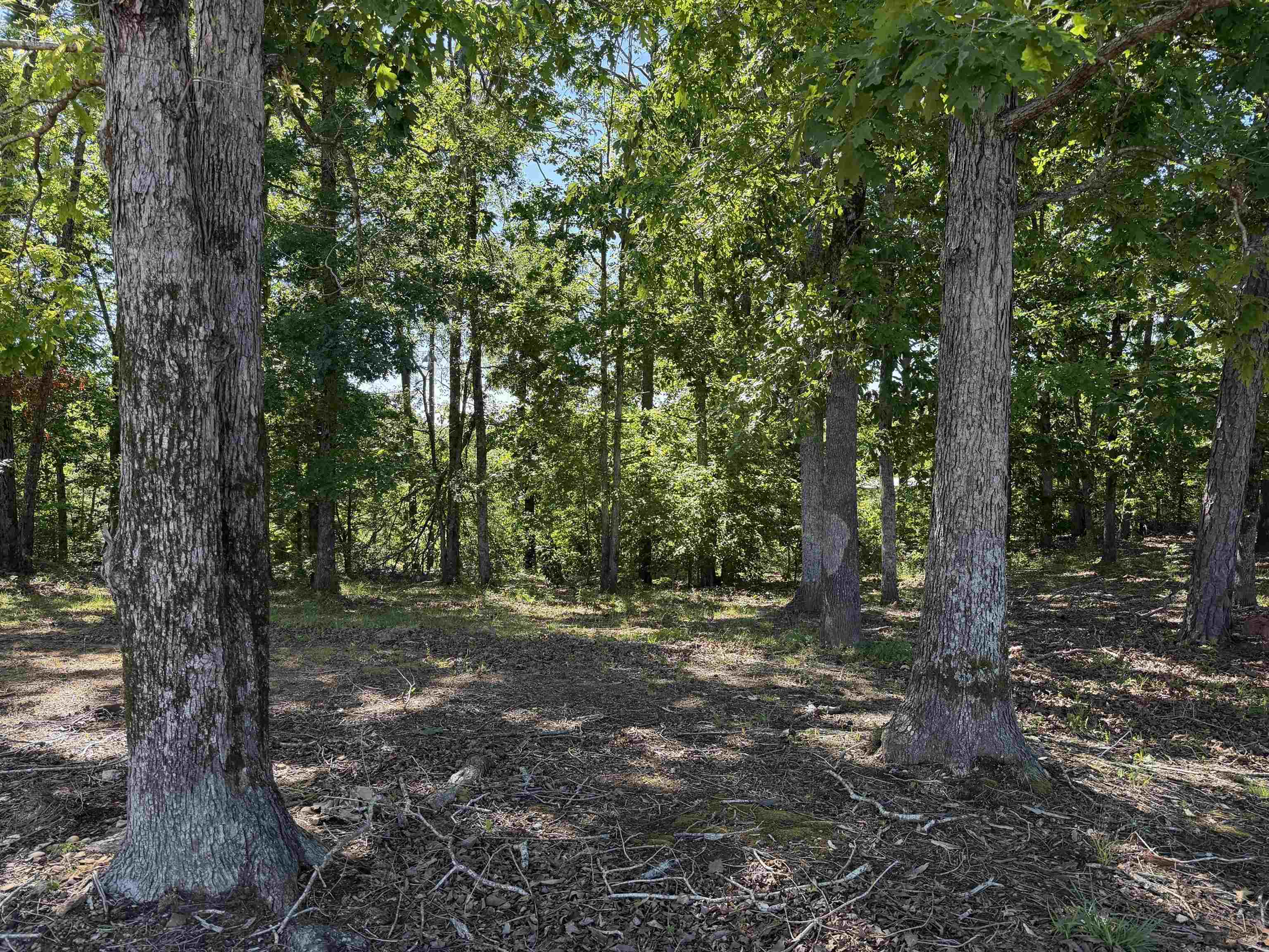 520 Coy Hill Road Olivehill, TN 38475 - Photo 20 of 31