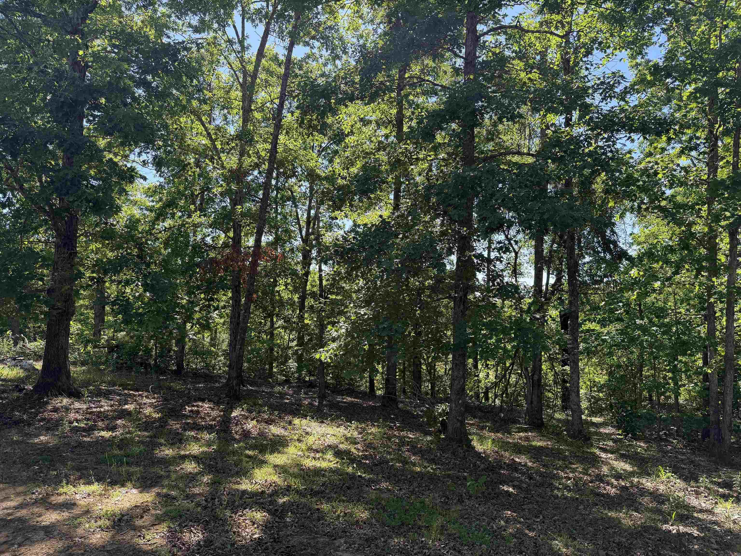 520 Coy Hill Road Olivehill, TN 38475 - Photo 21 of 31