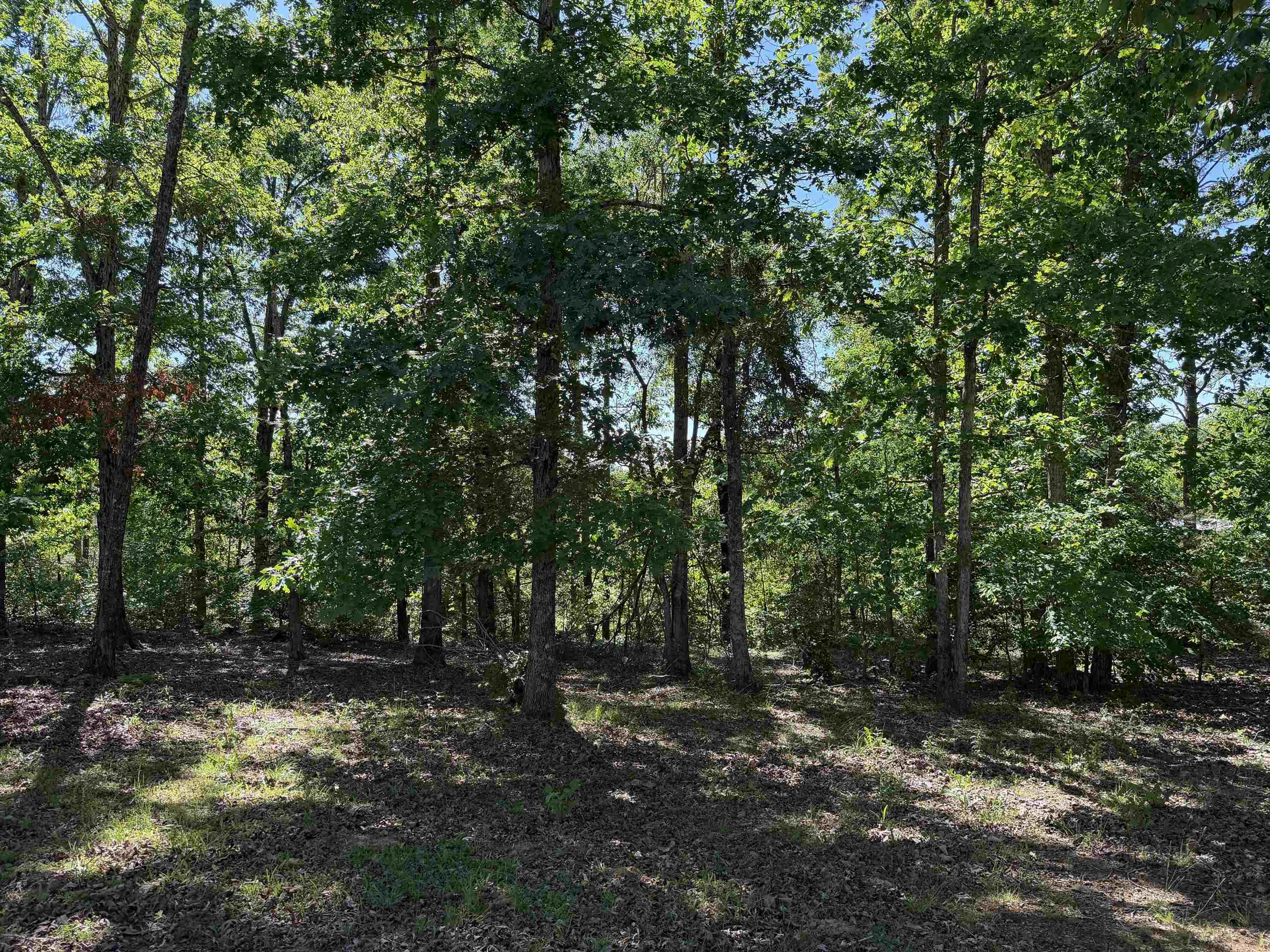 520 Coy Hill Road Olivehill, TN 38475 - Photo 22 of 31
