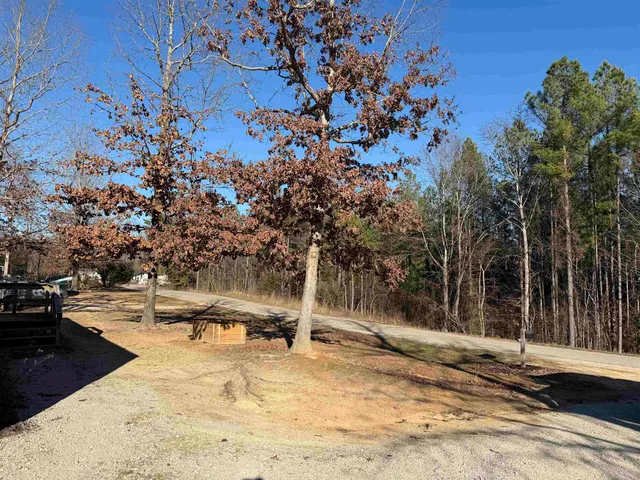a view of a wooden house with large trees