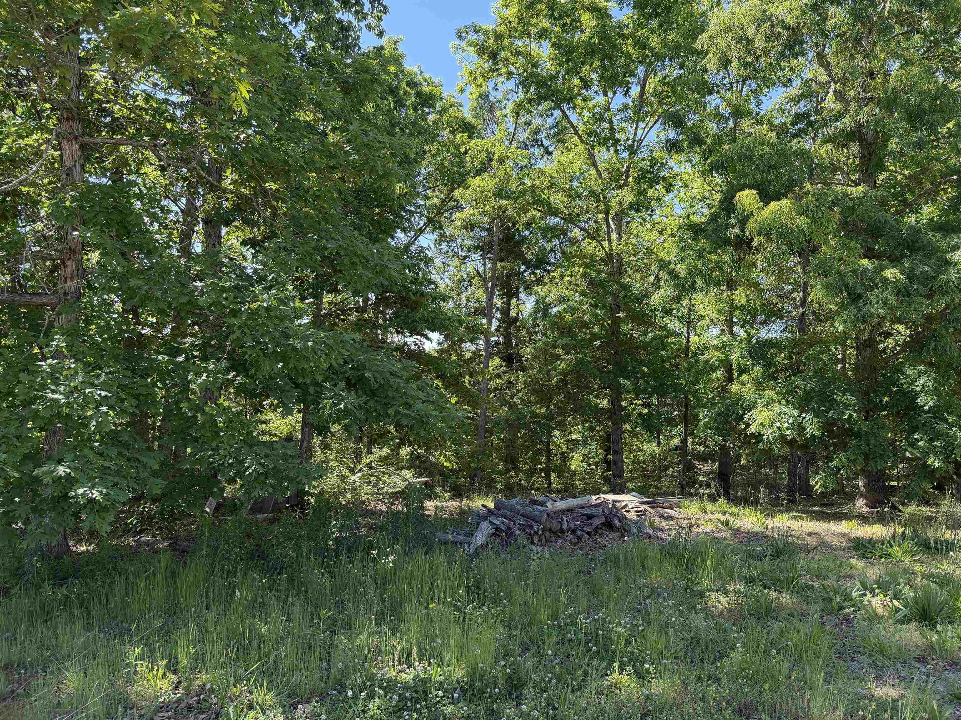 520 Coy Hill Road Olivehill, TN 38475 - Photo 27 of 31
