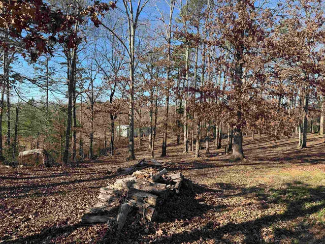 a view of yard with green space