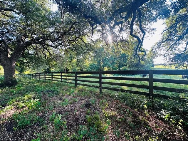 a view of park with trees