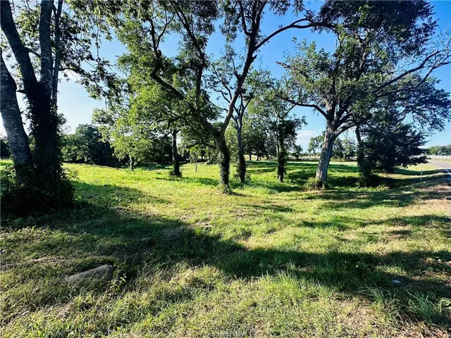 a view of a park with large trees