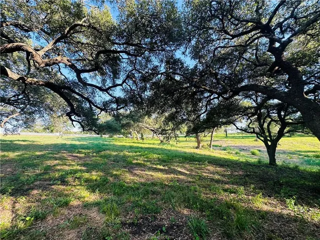 a view of yard with trees